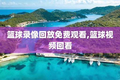 篮球录像回放免费观看,篮球视频回看