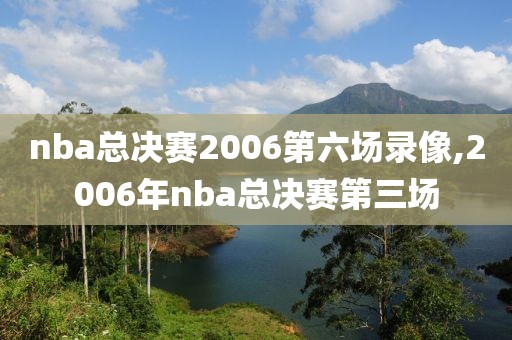 nba总决赛2006第六场录像,2006年nba总决赛第三场
