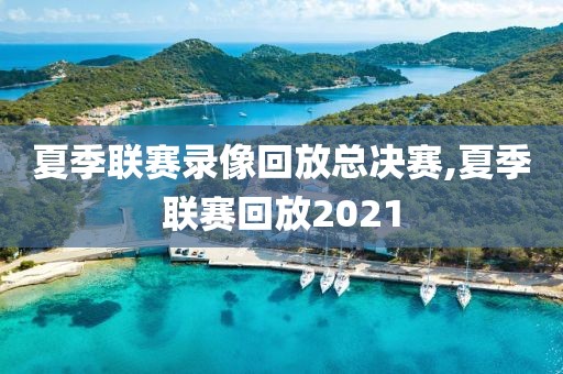 夏季联赛录像回放总决赛,夏季联赛回放2021