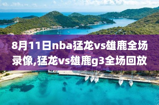 8月11日nba猛龙vs雄鹿全场录像,猛龙vs雄鹿g3全场回放